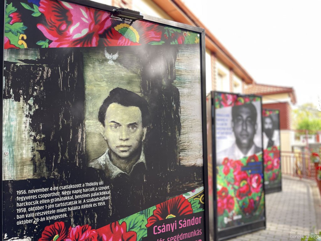 Együtt, szabadon - kiállításmegnyitó11